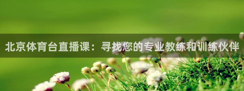 雨燕360直播高清nba：北京体育台直播课：寻找您的专业教练和训练伙伴