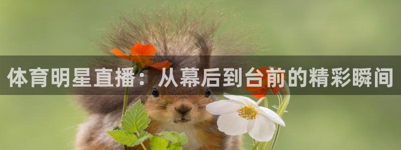 雨燕360直播：体育明星直播：从幕后到台前的精彩瞬间