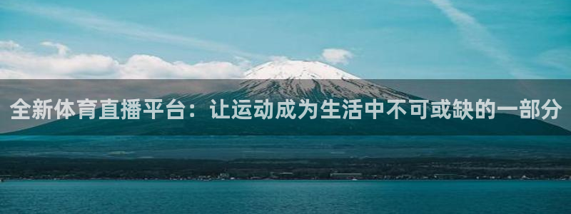 雨燕360直播nba直播：全新体育直播平台：让运动成为生活中不可或缺的一部分