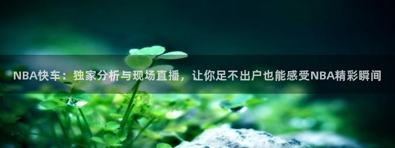 雨燕360直播免费观看：NBA快车：独家分析与现场直播，让你足不出户也能感受NBA精彩瞬间