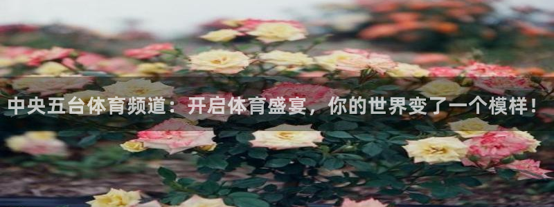 雨燕360直播nba比赛回放：中央五台体育频道：开启体育盛宴，你的世界变了一个模样！