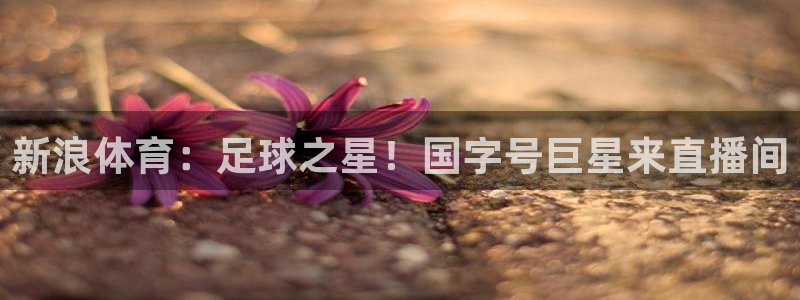 雨燕360直播nba免费观看：新浪体育：足球之星！国字号巨星来直播间
