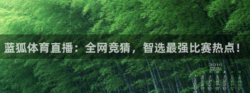 雨燕360直播世界杯：蓝狐体育直播：全网竞猜，智选最强比赛热点！