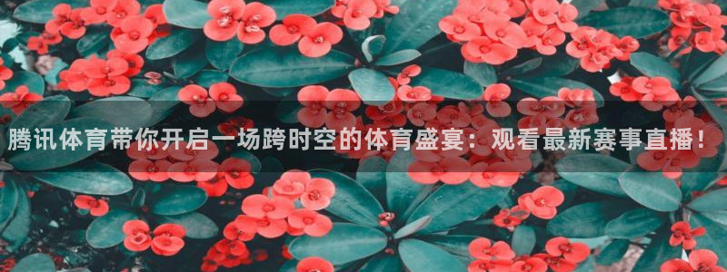 雨燕360直播足球免费直播：腾讯体育带你开启一场跨时空的体育盛宴：观看最新赛事直播！
