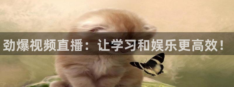 雨燕360直播nba直播：劲爆视频直播：让学习和娱乐更高效！