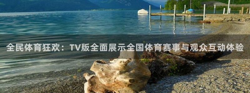 雨燕360直播免费看足球直播：全民体育狂欢：TV版全面展示全国体育赛事与观众互动体验