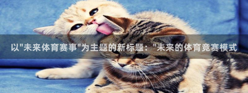 雨燕360直播nba高清：以\