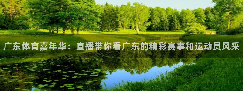 雨燕360直播高清nba：广东体育嘉年华：直播带你看广东的精彩赛事和运动员风采