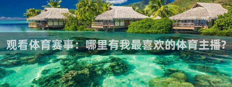 雨燕360直播nba在线观看：观看体育赛事：哪里有我最喜欢的体育主播?