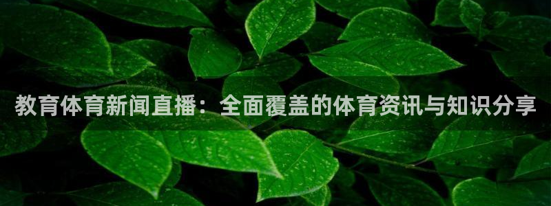 雨燕360直播nba直播时间表：教育体育新闻直播：全面覆盖的体育资讯与知识分享