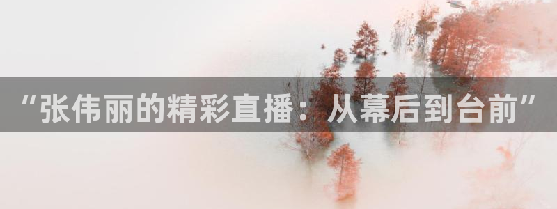 雨燕360直播nba免费观看：“张伟丽的精彩直播：从幕后到台前”