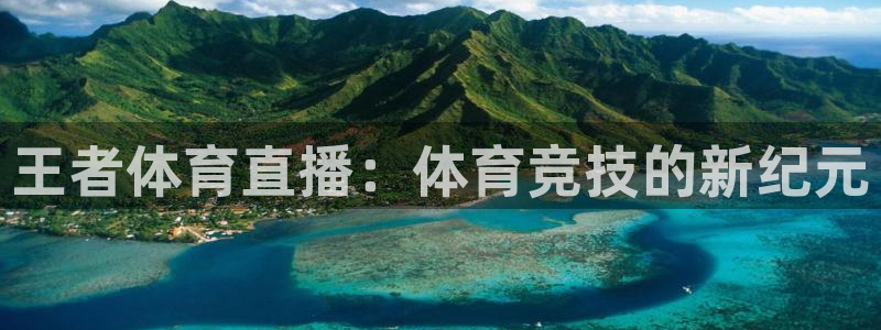 雨燕360直播