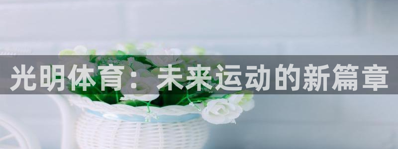 雨燕360直播足球免费直播