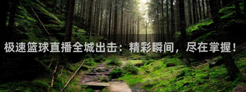 雨燕360直播入口：极速篮球直播全城出击：精彩瞬间，尽在掌握！