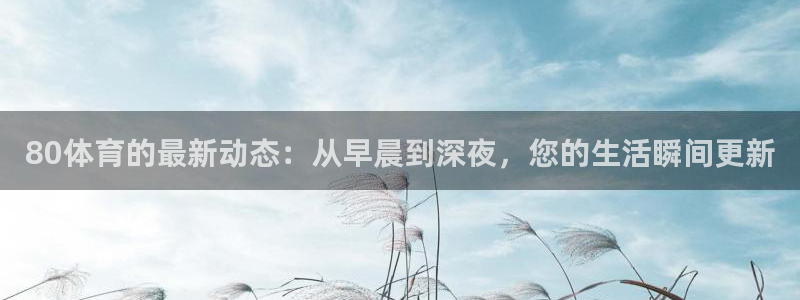 雨燕360直播足球在哪看：80体育的最新动态：从早晨到深夜，您的生活瞬间更新