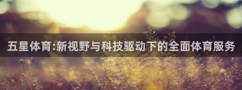 雨燕360直播足球免费直播：五星体育:新视野与科技驱动下的全面体育服务