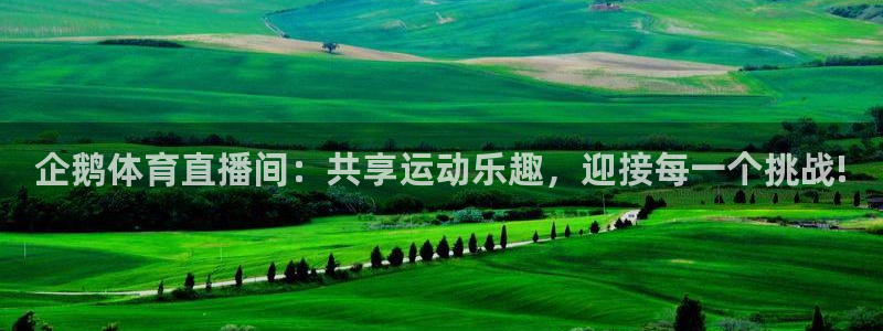 雨燕360直播吧：企鹅体育直播间：共享运动乐趣，迎接每一个挑战!